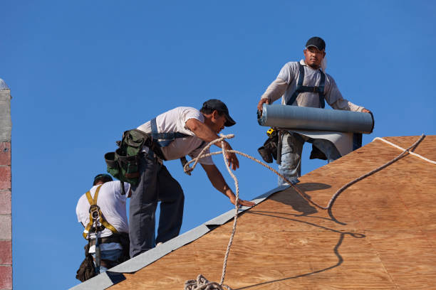 Professional Roofing Contractor in Piney Mountain, VA